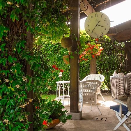 Il Gomitolo Biella Exterior foto